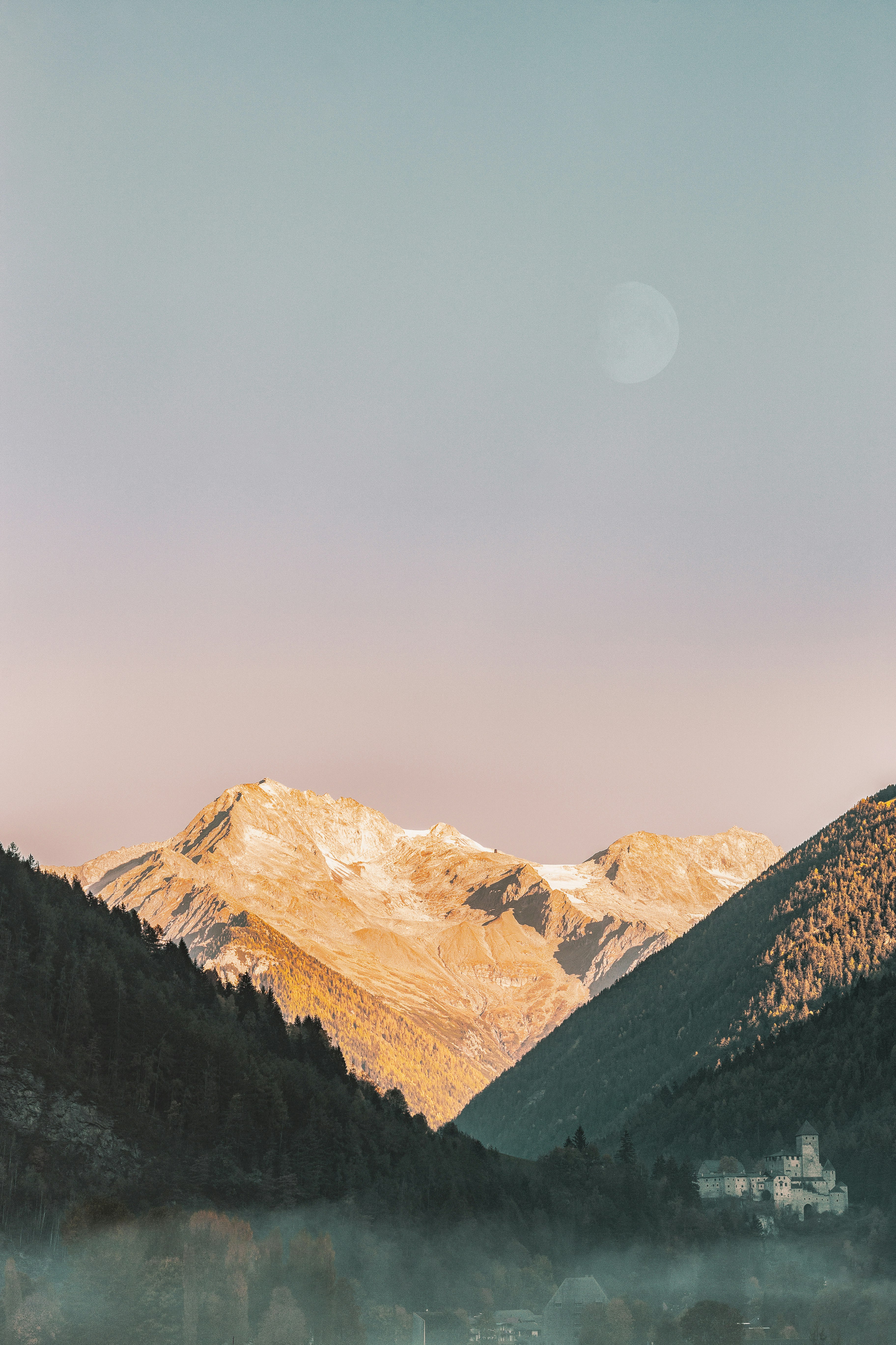 aerial photo of forest beside mountains